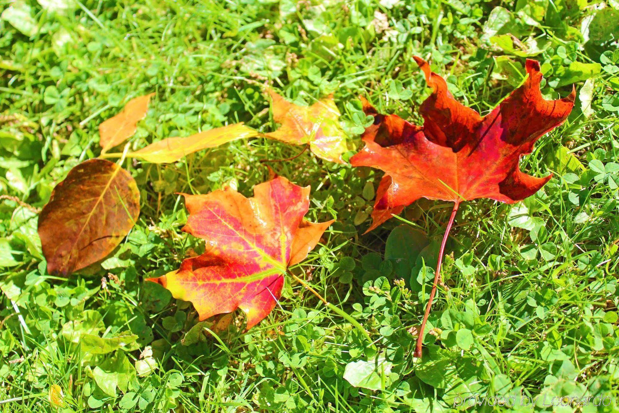 Heart Of The Village Bed & Breakfast In Shelburne Vt Ngoại thất bức ảnh